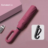 **WeatherGuard Automatic Umbrella™**