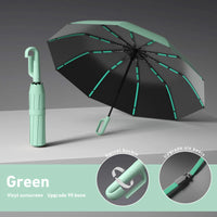 **WeatherGuard Automatic Umbrella™**